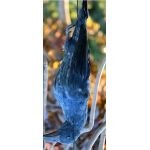 Ομοίωμα Νεκρού Κορακιού για Απώθηση Πτηνών – Ρεαλιστικό και Αποτελεσματικό | Απωθητικά Πουλιών στο  SECURETECH