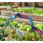 Bird Holographic Repellent Tape 110m | Bird repellers στο  SECURETECH