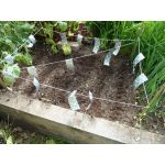 Bird Holographic Repellent Tape 110m | Bird repellers στο  SECURETECH