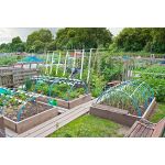 Bird Holographic Repellent Tape 110m | Bird repellers στο  SECURETECH