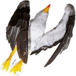 Απωθητικό ομοίωμα απώθησης γλάρων | Bird repellers στο  SECURETECH