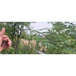 Flying bird repellent hawk | Bird repellers στο  SECURETECH