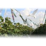 Bird Holographic Repellent Tape 110m | Bird repellers στο  SECURETECH