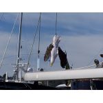 Απωθητικό ομοίωμα απώθησης γλάρων | Bird repellers στο  SECURETECH