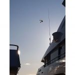 Flying Bird Repeller Eagle set | Bird repellers στο  SECURETECH