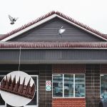 Απωθητικές ακίδες για πουλιά γάτες, σκύλους χρωματιστές | Απωθητικά Πουλιών στο  SECURETECH