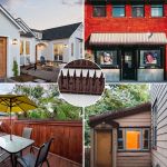 Απωθητικές ακίδες για πουλιά γάτες, σκύλους χρωματιστές | Απωθητικά Πουλιών στο  SECURETECH