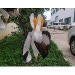 Απωθητικό ομοίωμα απώθησης γλάρων | Bird repellers στο  SECURETECH