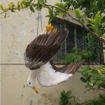 Απωθητικό ομοίωμα απώθησης γλάρων | Bird repellers στο  SECURETECH