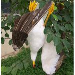 Απωθητικό ομοίωμα απώθησης γλάρων | Bird repellers στο  SECURETECH