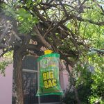 Fly Trap with Bait | Insect Repellers στο  SECURETECH