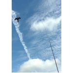 Ιπτάμενος απωθητικός αετός, 7μετρο κοντάρι & περιστρεφόμενη 360ο μεταλλική βάση | Bird repellers στο  SECURETECH