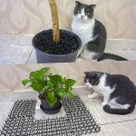 Garden mat anticat fence | Dog Cat Repellers στο  SECURETECH