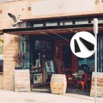 Ακίδες απώθησης πουλιών, ζώων, διαρηκτών πράσινες 1.7cm | Απωθητικά Πουλιών στο  SECURETECH