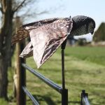 Κουκουβάγια σκιάχτρο κινούμενη για απώθηση πτηνών | Απωθητικά Πουλιών στο  SECURETECH