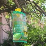 Fly Trap with Bait | Insect Repellers στο  SECURETECH