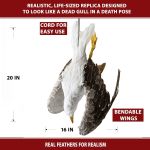 Απωθητικό ομοίωμα απώθησης γλάρων | Bird repellers στο  SECURETECH