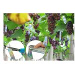 Bird Holographic Repellent Tape 110m | Bird repellers στο  SECURETECH