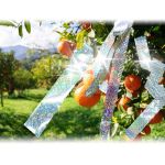 Bird Holographic Repellent Tape 110m | Bird repellers στο  SECURETECH