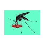 Mosquito Repeller | Insect Repellers στο  SECURETECH