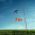 Flying Bird repelling Eagle | Bird repellers στο  SECURETECH