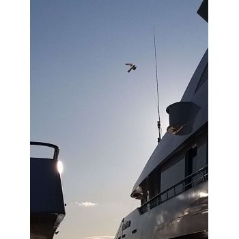 Flying Bird repelling Eagle | Bird repellers στο  SECURETECH