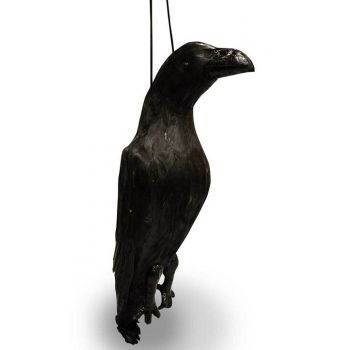 Ομοίωμα Νεκρού Κορακιού για Απώθηση Πτηνών – Ρεαλιστικό και Αποτελεσματικό | Απωθητικά Πουλιών στο  SECURETECH