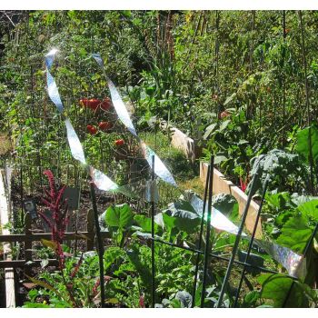 Ιριδίζουσα Ταινια απώθησης πουλιών 110 μέτρα | Απωθητικά Πουλιών στο  SECURETECH