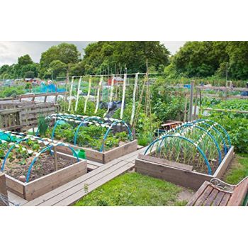 Ιριδίζουσα Ταινια απώθησης πουλιών 110 μέτρα | Απωθητικά Πουλιών στο  SECURETECH