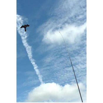 Ιπτάμενος απωθητικός αετός σετ με κοντάρι | Απωθητικά Πουλιών στο  SECURETECH