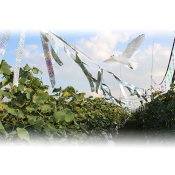 Ιριδίζουσα Ταινια απώθησης πουλιών 110 μέτρα | Απωθητικά Πουλιών στο  SECURETECH