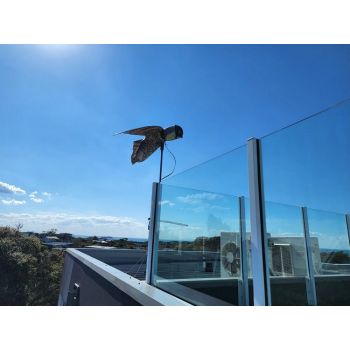 Κουκουβάγια σκιάχτρο κινούμενη για απώθηση πτηνών | Απωθητικά Πουλιών στο  SECURETECH