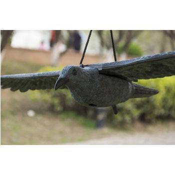 Απωθητικό γεράκι πουλιών super size 80cm | Απωθητικά Πουλιών στο  SECURETECH