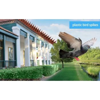 Απωθητικές ακίδες για πουλιά γάτες, σκύλους χρωματιστές | Απωθητικά Πουλιών στο  SECURETECH