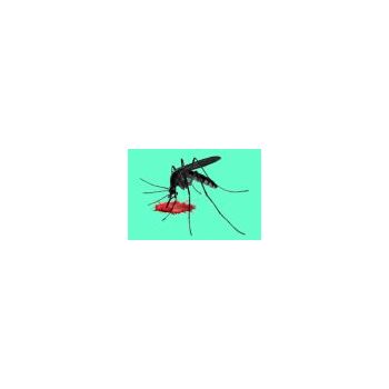 Mosquito Repeller | Insect Repellers στο  SECURETECH